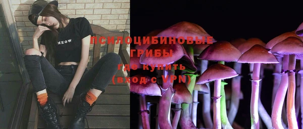таблы Алзамай