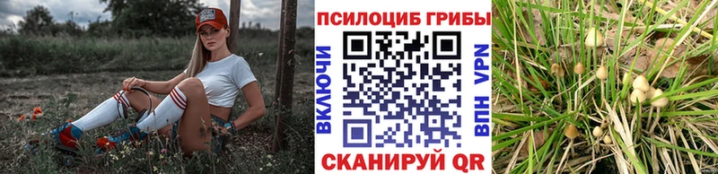 ссылка на мегу как войти  Енисейск  Галлюциногенные грибы GOLDEN TEACHER 